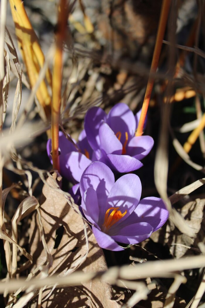 ������� ����� �����