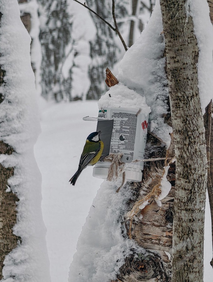 �� � � ����� �����, ��� ����, ��� �����-�� ��������� ��������� �����, � �� -15 �������� �� �����