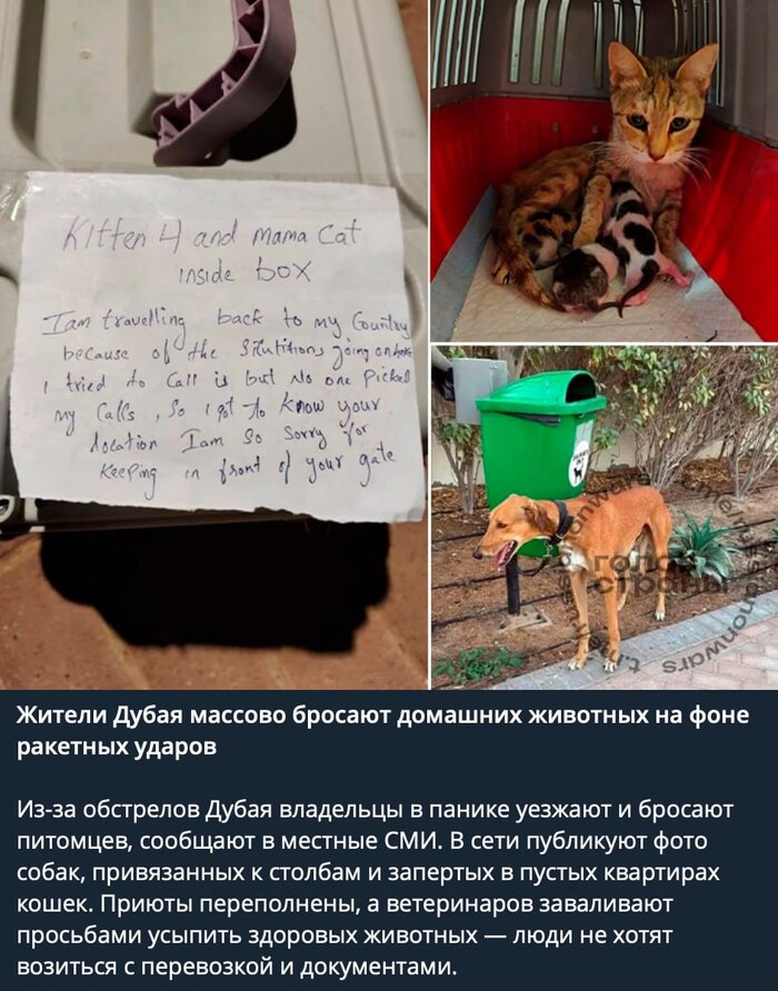 � ������� ����������� ������ ������ ������� ��� ���������