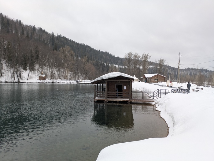 ����� ��������� 