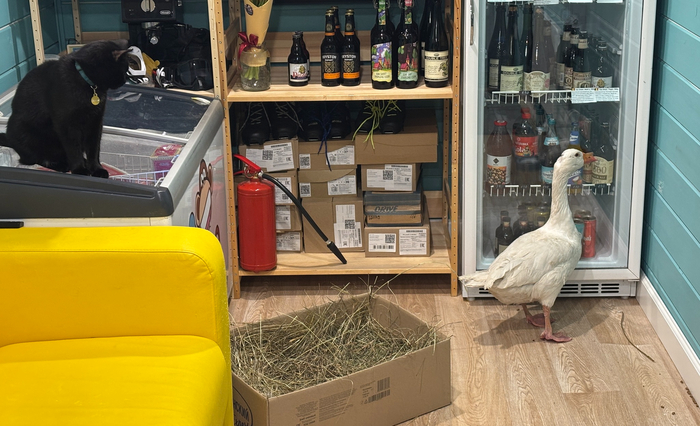 ������ ������� �������������.