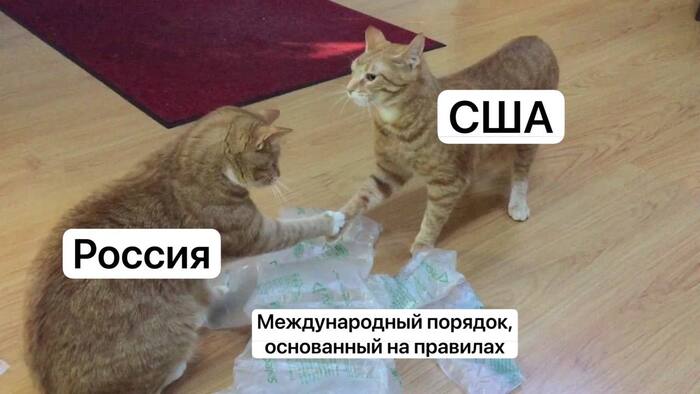 ����� ����������: ��� ������� ����� �������������� �������, ����������� �� ��������