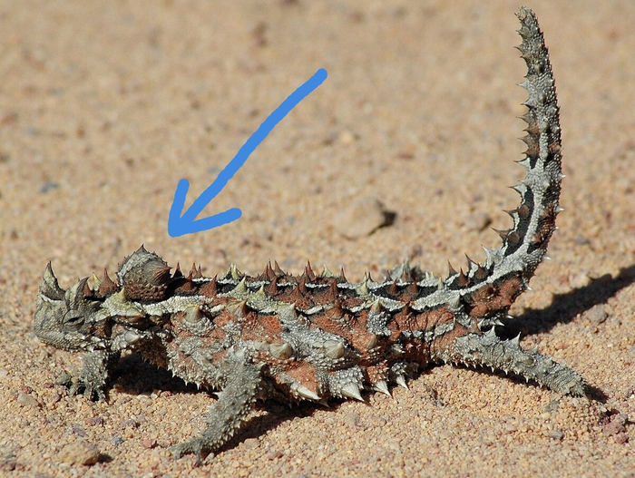 ���� ��� ��� �� ���� ��������� ������� �� ���.