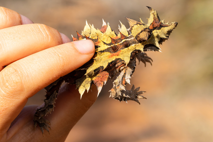 ��������, �� ����� ������ ��� �������� :D