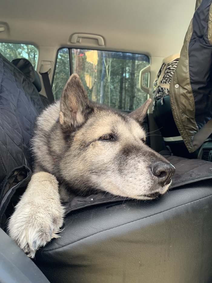 ��� ���, ������� ����� �������, ����� ������ ��� �����.