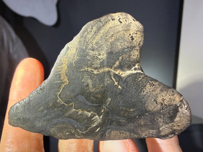 ���� ����������� ������.