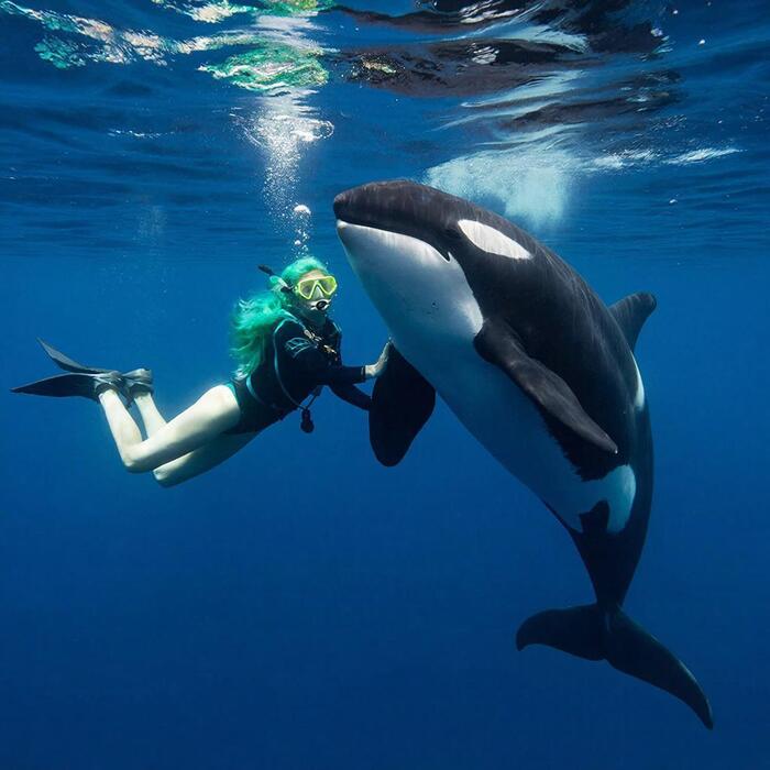 ����������� ������� � ������� ��.