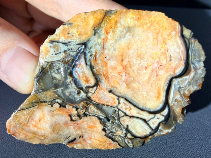 ���� � ��������� ���������