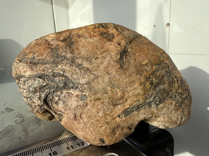 ���������� ��������