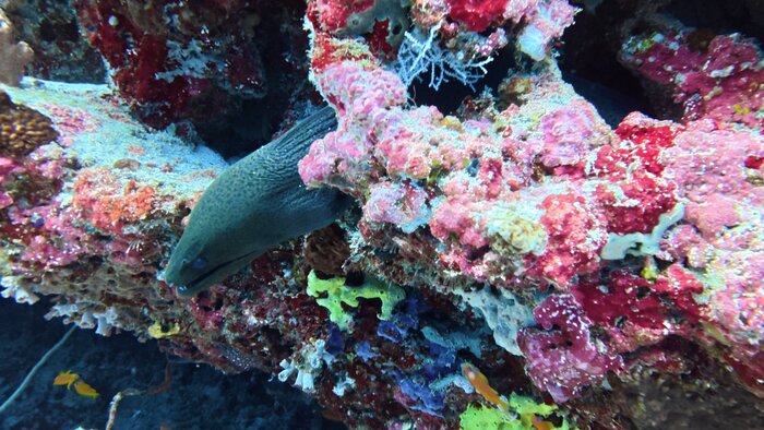 ������ � ������