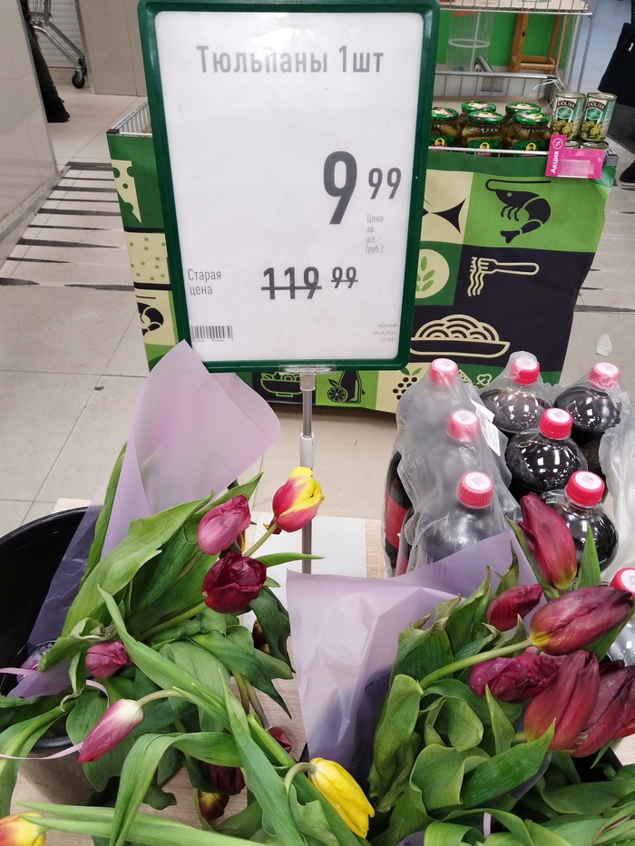 ����� ��������� �����������