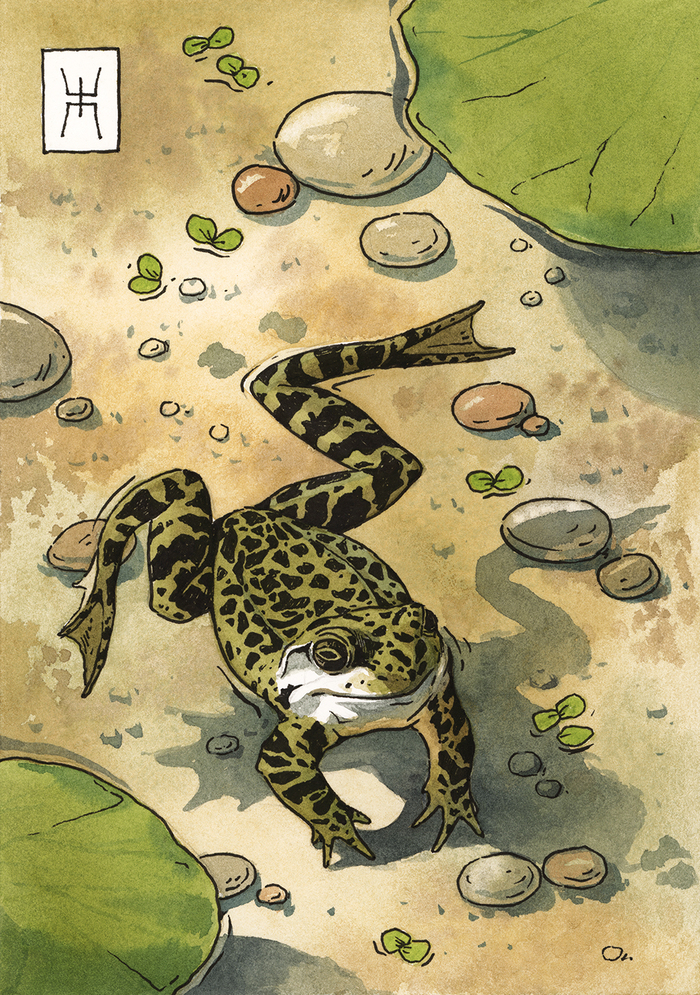 "�������" ��������, ��������� ������, ������.