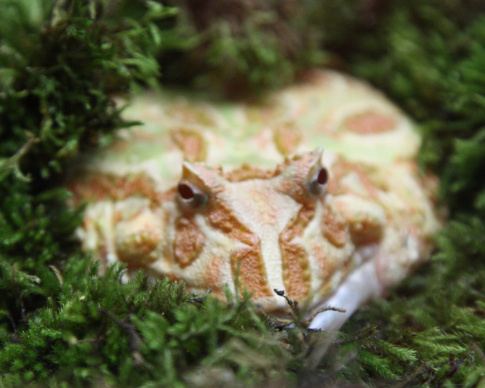 �� �� �� ����� �� ��!