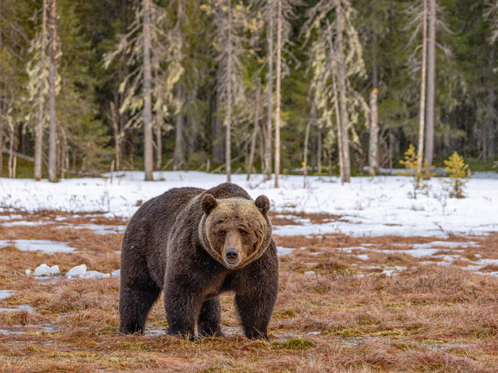 ���������� ����� � ������������ ������ ���� ����� ������ �������� ���������. ������� ������� �� ������� ��� � �������.