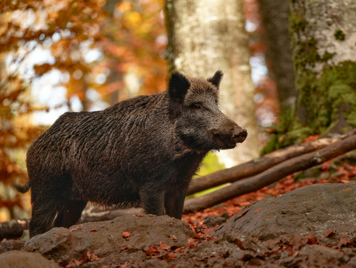 ���� ������ ���������, �� �� ����� �������� ������������ � ������ ��� �� �� ������� ������. � ������ ��������� ����� ������ � ����� �����, ��� ���� ������� ��������, ���� ������ ���� ������ � ����������, � �������� ��� ���������.