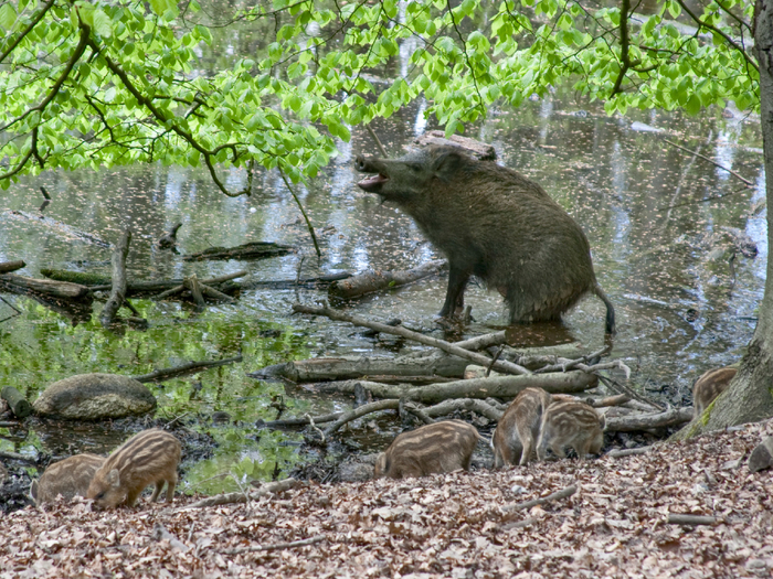 ����� ����, ����� ��������� ������� � ����������! ���������� ������� ���� ������� �������.