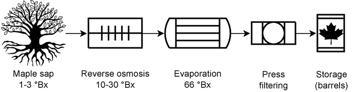 ����� ��������� �����