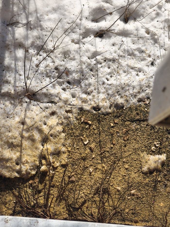 ��������� ��������� �������