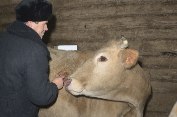 ��������: �������� ������