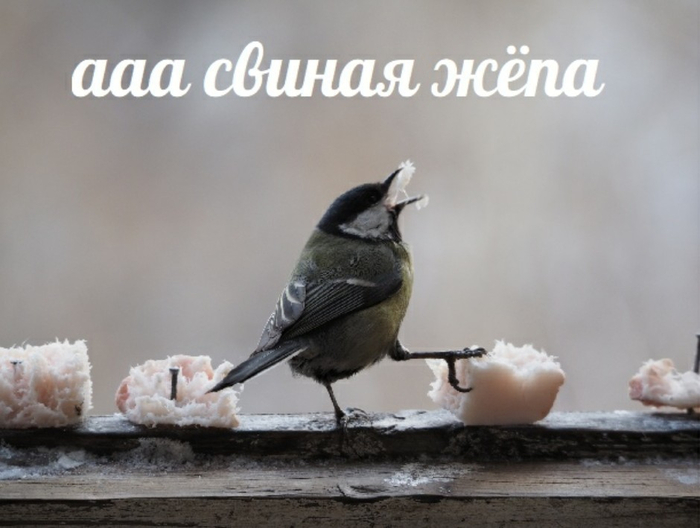 ����� �� ���� �������� ������ �� ����