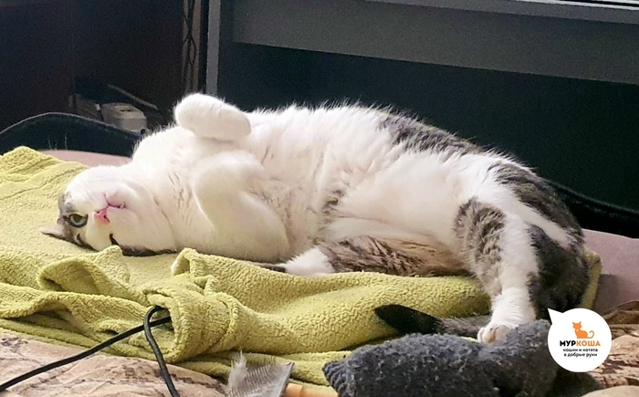 ��� �� ������ ���� ��������!