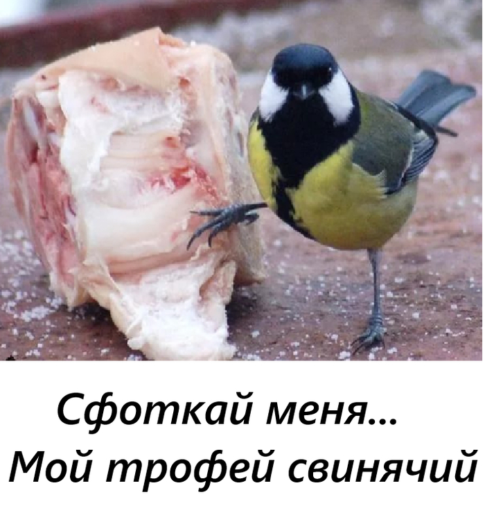 ����� EKBPikabu � �������� ������ �� ����