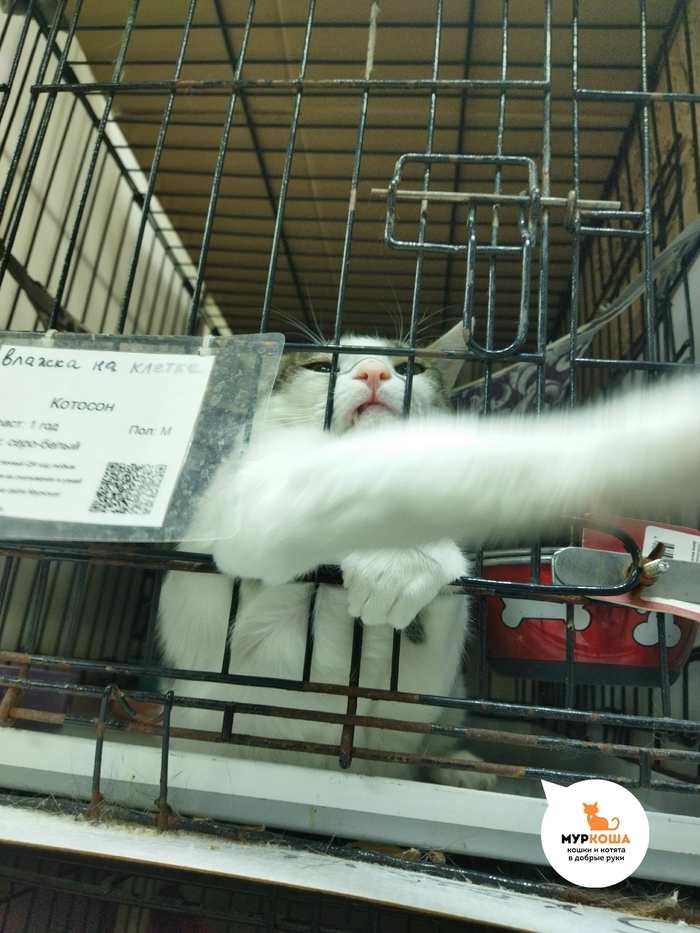 �����, ���� ��� ��������, ��� �� �� ����� ����������� ����������� �����, �� �� ������� ������� ��� ������ � ��� ���!