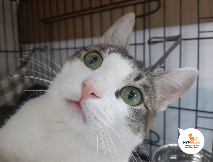 ������� ����������� ������ �� ���� ������ ������ � �� ����� ���������� ������ ��������.