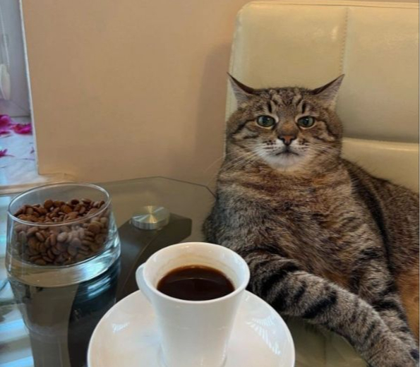 �������: ���������� ������ vs ����