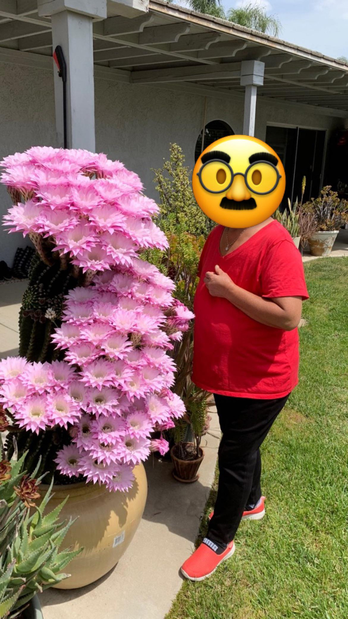 � ���� ������� ���������� �������� ������