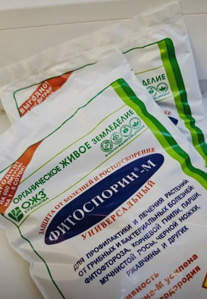 3 ������ ��� ������������� �����������, ��-�� ������� �������� �� �������� � ������� ���������� ������