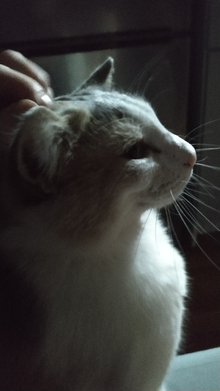 � ���� �������� - �������� �� ���� ����!