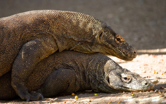 � ������� ������ ��������� �� ������ �����. ����� ����� ���������� ���� ���������� �����.