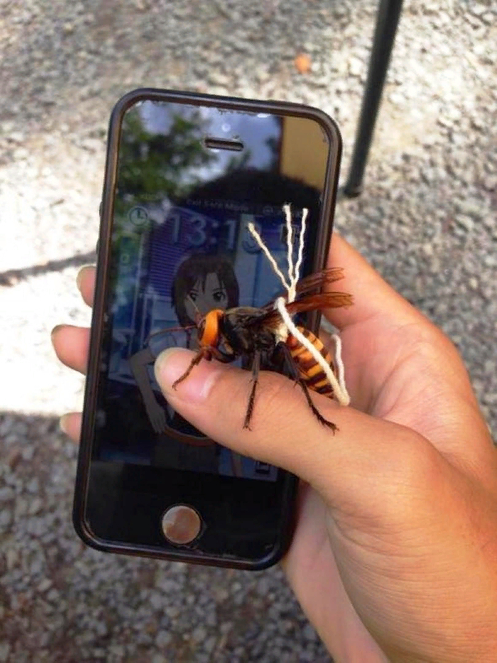 ��� ����� � ��� ������...