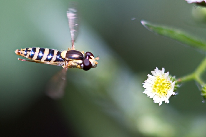 � ������