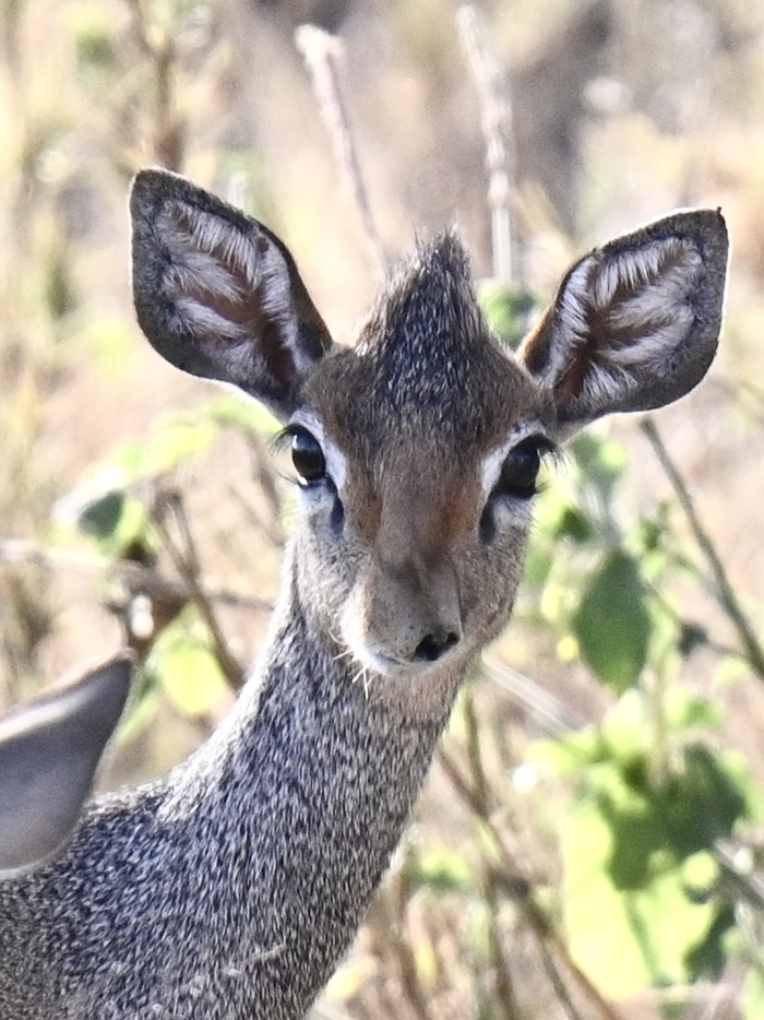 ������� ��.... ����� ������.