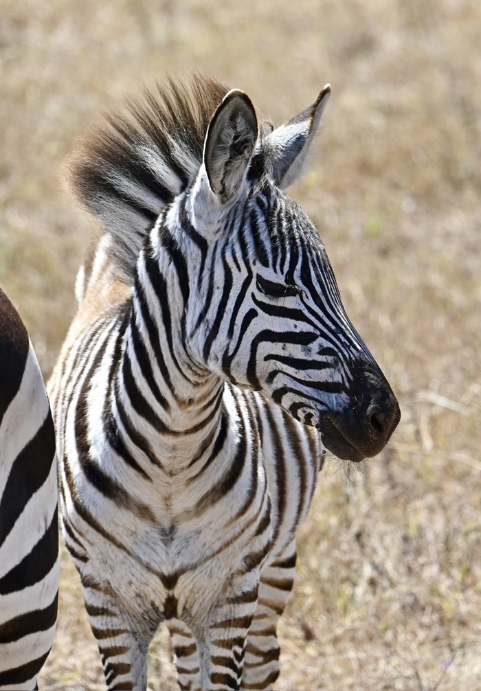 ������� ��������� �� � � ������ � ������� � ���������.