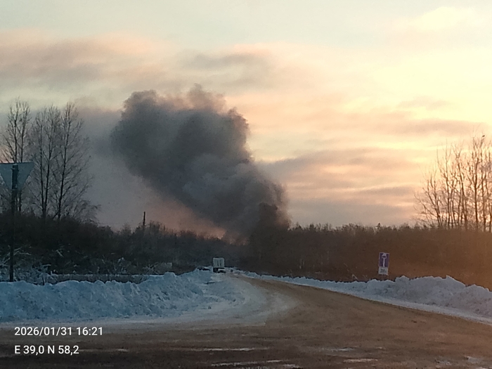 Сжигание кур на птицефабрике «Волжанин» под Рыбинском