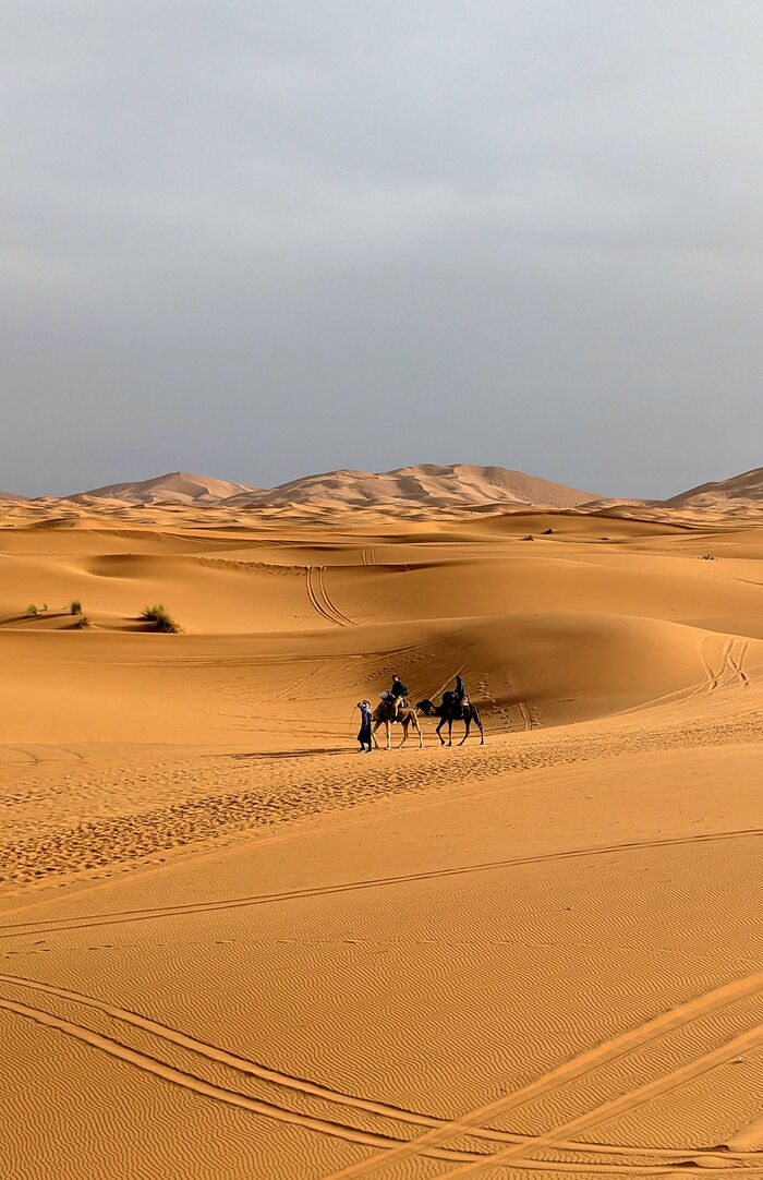 ������� ������������ � ������� � �������.