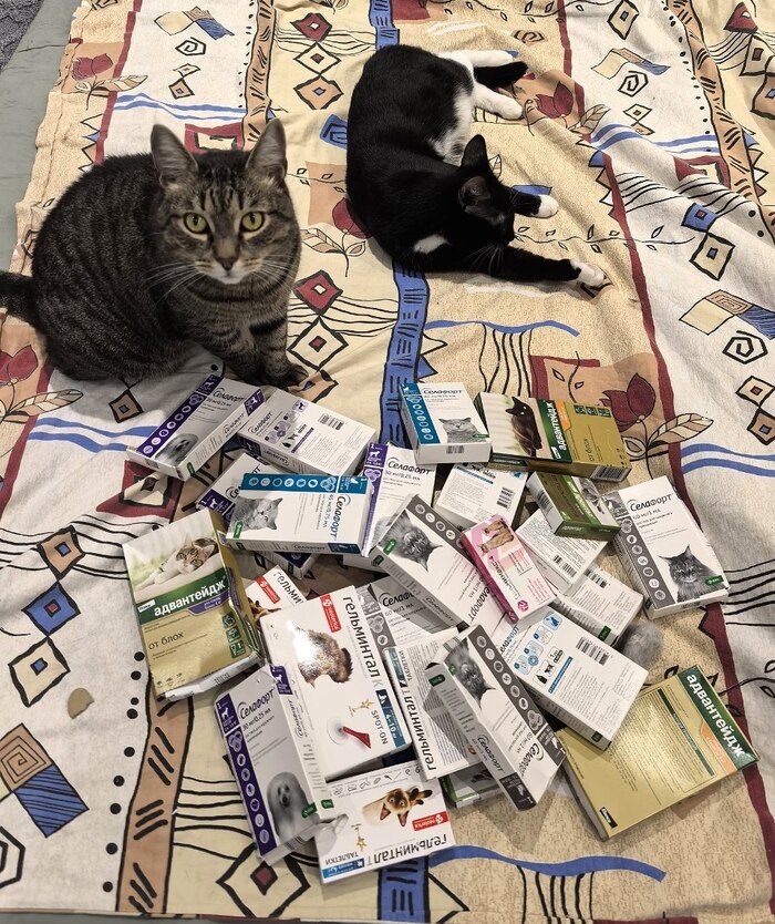 �� ���, �������