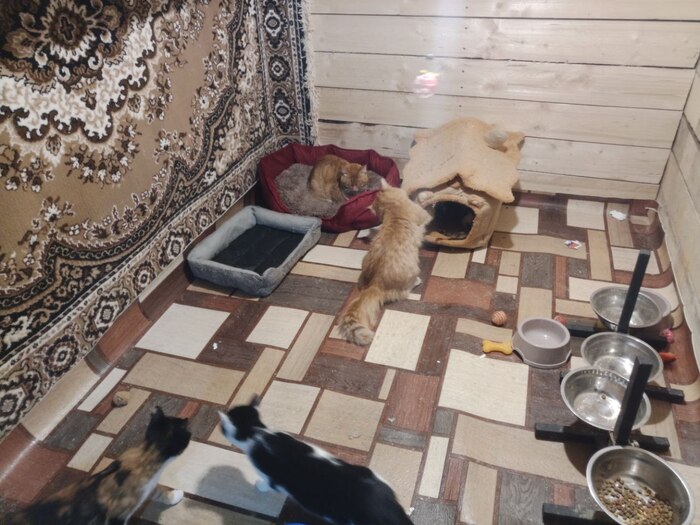 ������ � ������