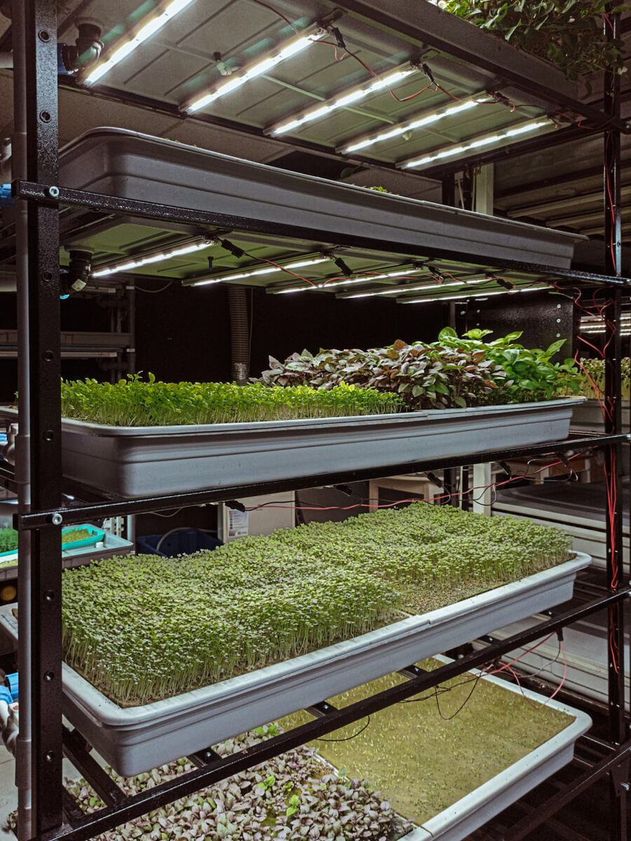 Aeroponics: The Complete Guide to Growing Plants Without Soil - Vertical Truss, Aeroponics, Hydroponics, City Farm, Longpost