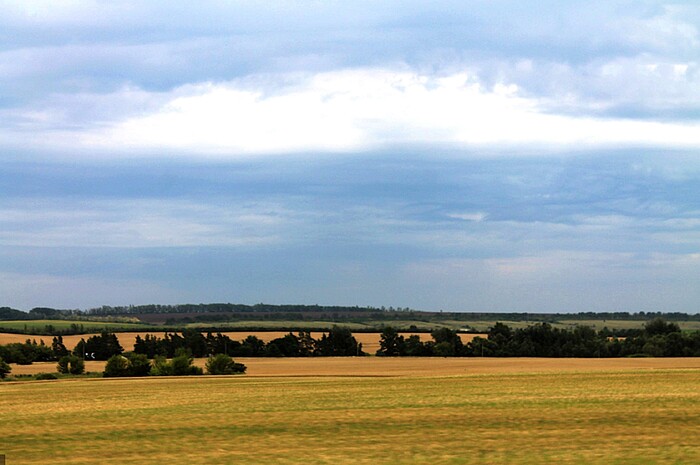 ������ �����