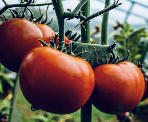 ����� ������������� ������ ����� �������, ����� ����� �� "��������", � ���� ����� �������