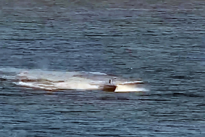 ����������� ��� ���