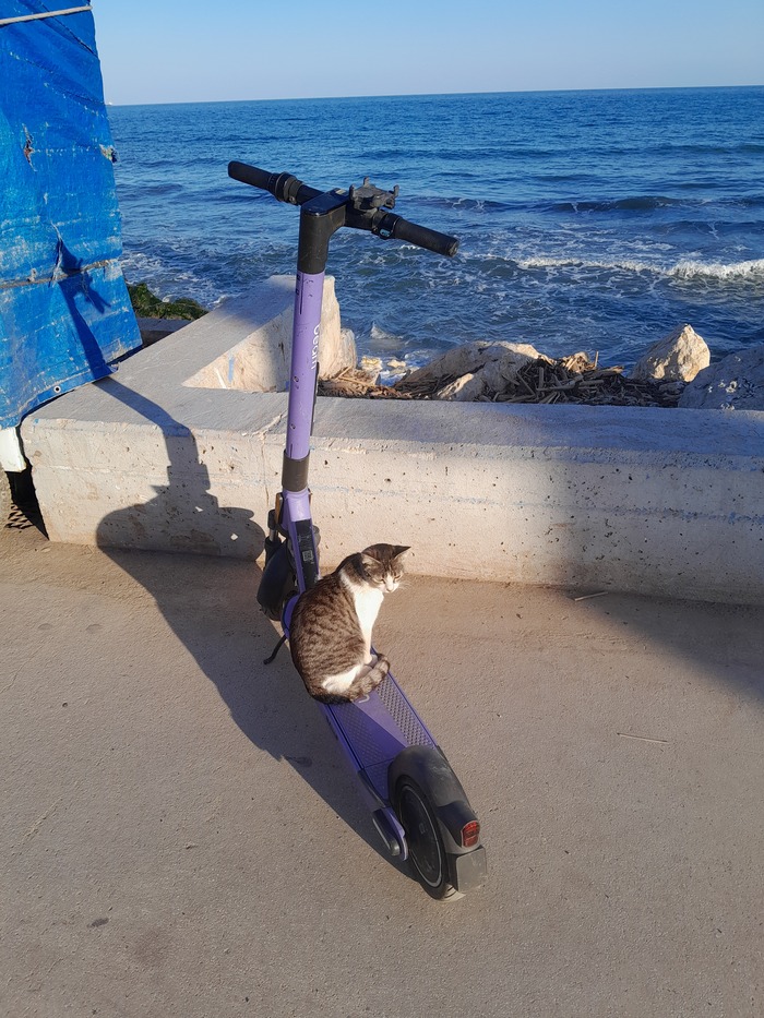 ����������