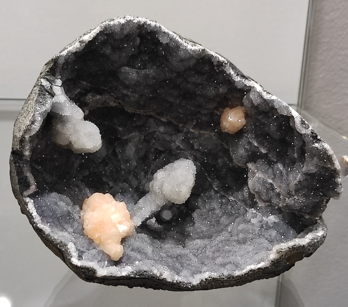 ����������