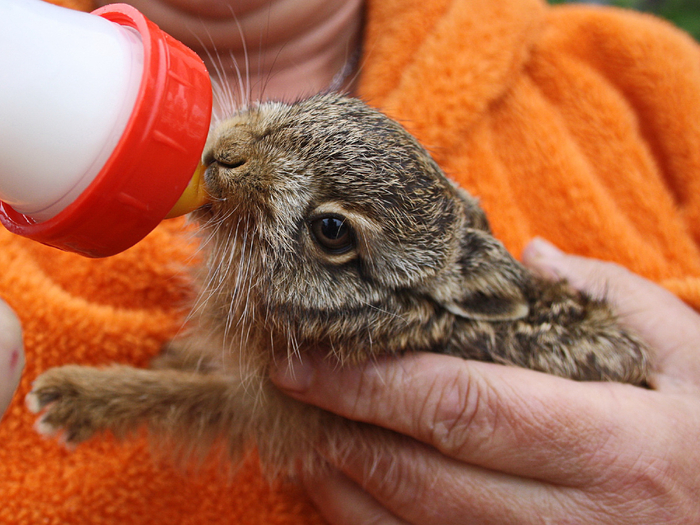 ������� �����.