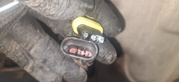 ������ ����, ��� �� ������