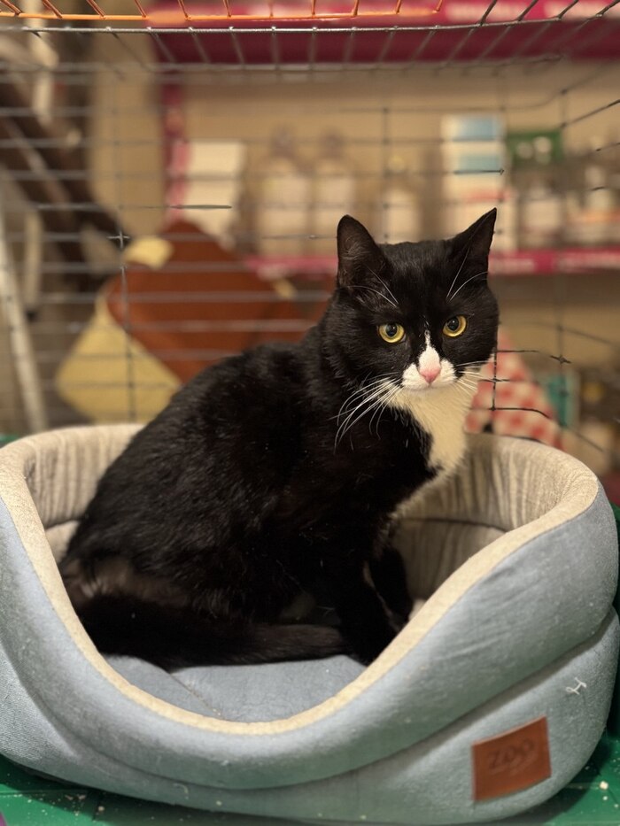 ������-������� � ����� �������. ���� �� ���. �����-���������